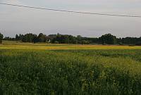 Valli Sepp 70<br>Rida talu, Meeri küla, Nõo vald, Tartumaa<br>18. juuli 2009<br>Foto Sulev Sepp