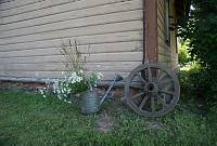 Valli Sepp 70<br>Rida talu, Meeri küla, Nõo vald, Tartumaa<br>18. juuli 2009<br>Foto Olev ja Mariliis Sepp